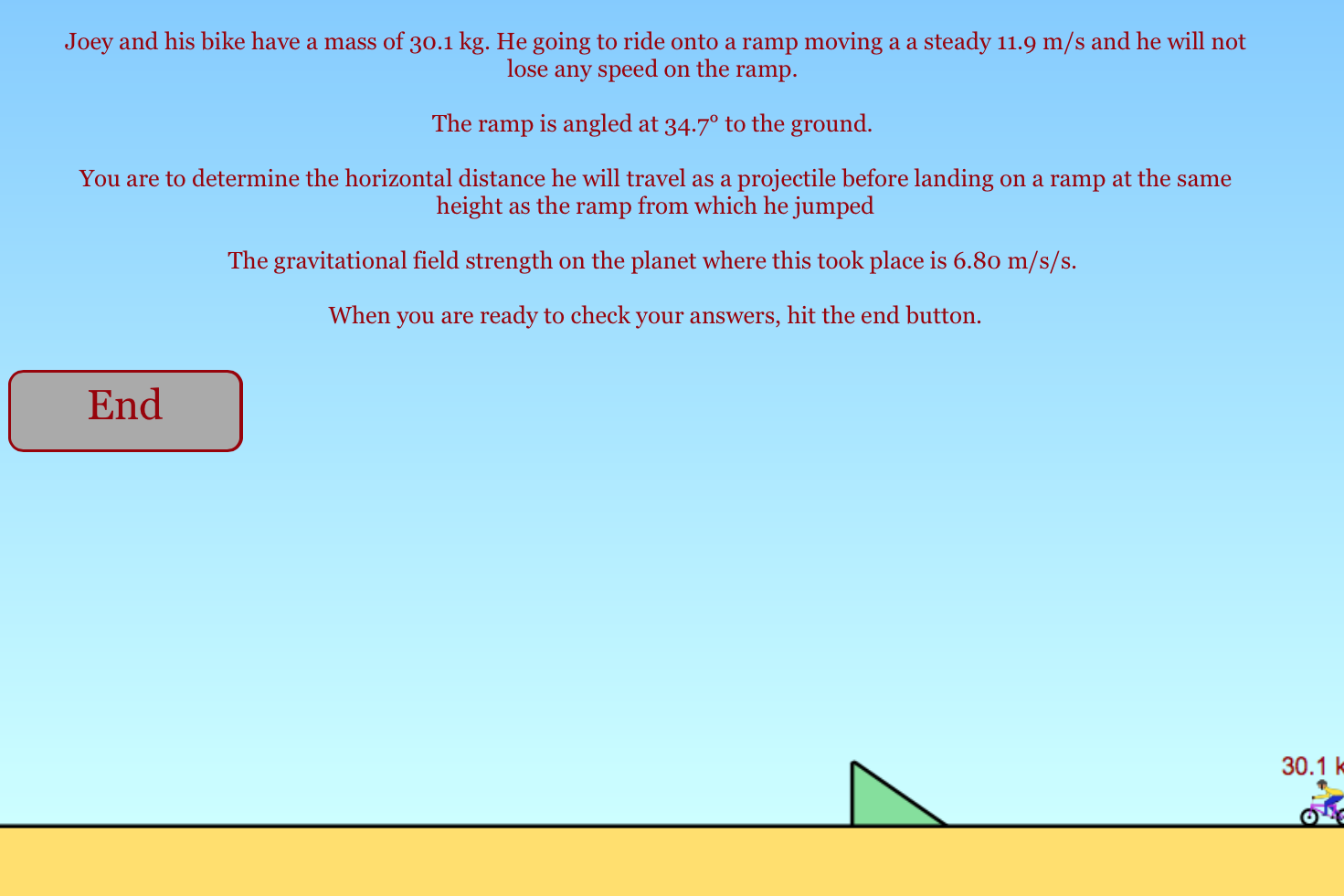 Jumping Joey Simple with Energy