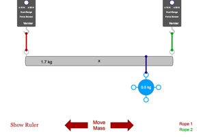 Suspension Bridge Lab Picture